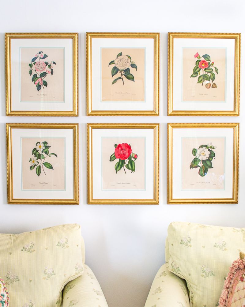 Vintage Botanical Printed Gallery Wall Frame