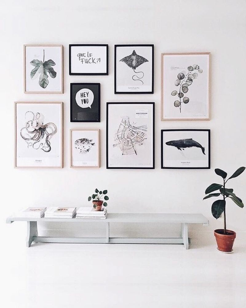 Botanical Sketches Gallery Wall Frames